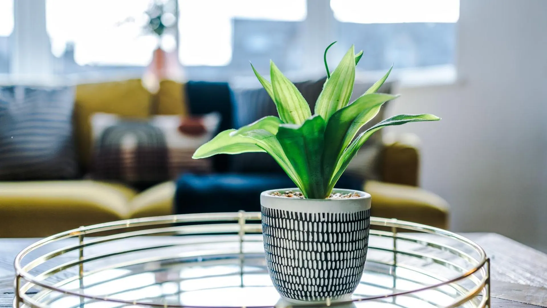 The Gatsby In Harrogate 3 Bedrooms - Parking